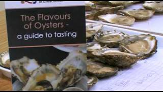 Oyster Tasting Guide [upl. by Echo]