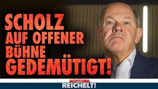 Scholz gedemütigt Habeck durchgedreht Regierung außer Kontrolle Achtung Reichelt vom 241024 [upl. by Eelac]