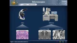 Citologia 12  microscopio [upl. by Launame]