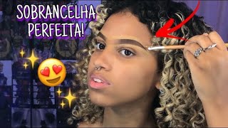 TUTORIAL de sobrancelha para iniciantes [upl. by Selina219]