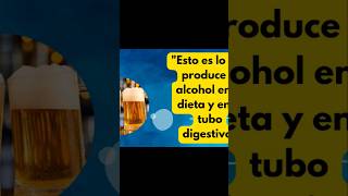 Alcohol y dieta ¿Es posible perder grasa [upl. by Assilem]