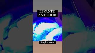 Levante anterior [upl. by Norina238]