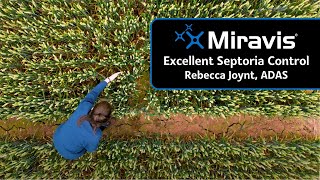 MIRAVIS® Excellent Septoria Control [upl. by Aititil540]