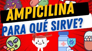 AMPICILINA  ¿PARA QUÉ SIRVE [upl. by Aiket]