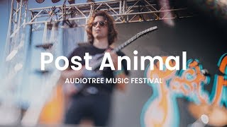 Post Animal  Ralphie  Audiotree Music Festival 2018 [upl. by Zoba]