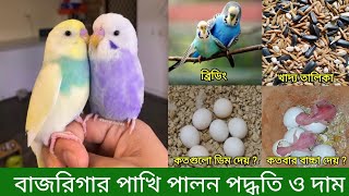 বাজরিগার পাখি পালন ও দাম  Budgerigar Bird Rearing In Bangla  Budgerigar Pakhi Palon Poddoti [upl. by Ohploda]