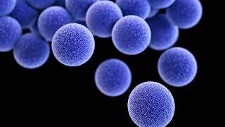 Common Diagnostic Tests for Gram Positive Cocci [upl. by Refinaj]