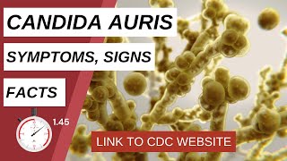 Candida Auris The Superbug You Need to Know About [upl. by Rosenberg]