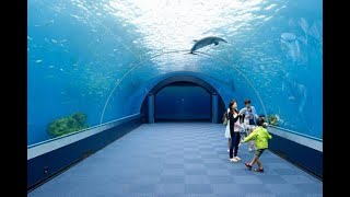 Japan yokohama aquarium sea paradise  Tokyo Japan  Raffin vlogs [upl. by Yolanthe610]