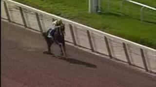 Rachel Alexandra  WINS WITH EEEEEEEASE Race 12 [upl. by Guillaume]