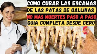 COMO CURAR las ESCAMAS de las PATAS de GALLINAS CRIOLLAS GUIA COMPLETA para realizar la CURACIÓN [upl. by Etnovaj216]