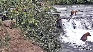 29 Jul 2021 207 and 208 at the Falls exploreorg [upl. by Gilmour]