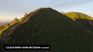 La Crête du Moléson la plus belle rando de Suisse romande 🚶🏻‍♀️🚶🏻‍♂️ [upl. by Zenger]