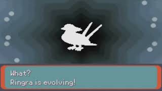 Slim Plays Pokémon Emerald  17 One Swell Bird [upl. by Eytteb]