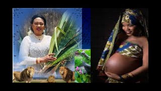 Treat Salpingitis with Natural Herbs Get Pregnant Naturally [upl. by Laresa]