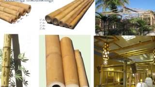 Affordable tropical fencesBamboo fenceAbamboo fencingHow to installRolled bamboo ecofriendDIY [upl. by Ennovehs]