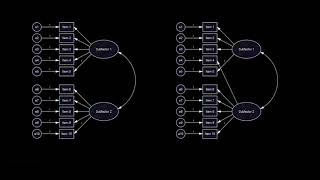 Configural invariance [upl. by Saidel]