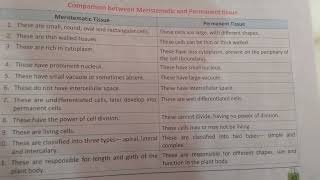 Difference between Meristematic tissue and Permanent tissue [upl. by Macleod]