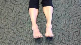 How to Strengthen the Posterior Tibial Tendon Ask The Podiatrist Segment 2 [upl. by Eduino259]