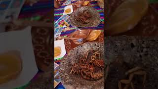 ALACRANES en DURANGO mezcal [upl. by Ignacius]