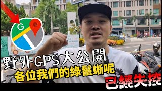 政府不敢說的事！【Google地圖】台南綠鬣蜥GPS熱點大公開！團隊費時四年蒐集的地圖點位曝光，嘉藥、中華醫事、奇美博物館全淪陷！幾乎全在大甲里！  iguana  Taiwan [upl. by Nevaed]