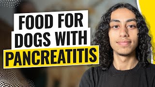 Food For Dogs with Pancreatitis 2024 [upl. by Ahseyi269]