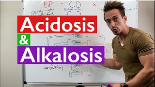 Acidosis and Alkalosis MADE EASY [upl. by Biddick551]