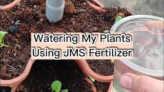 MAKE Your OWN JMS Organic Liquid Fertilizer in 1 DAY [upl. by Faden]