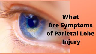 What Are Symptoms of Parietal Lobe Injury [upl. by Rollecnahc]