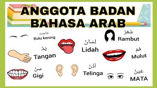 ANGGOTA BADAN  BAHASA ARAB  TADIKA  TASKA [upl. by Ahsinrats742]