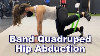 Band Quadruped Hip Abduction [upl. by Bixler526]