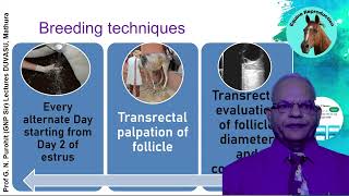 Peculiarities of Equine Reproduction Key Insights by GNP Sir [upl. by Aylward65]