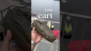 🚨Remote Control Alligator Head🐊 As seen on instagram and tiktok 😂 [upl. by Mathur658]