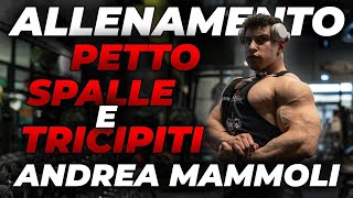 ALLENAMENTO PETTO SPALLE E TRICIPITI CON ANDREA MAMMOLI [upl. by Aehsrop]