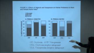 Brain and Behavior  Neurobiology of Love [upl. by Lokkin]