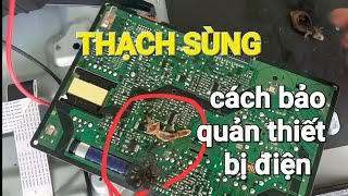 Tại sao  thạch sùng vào thiết bị điện tử cách khắc phục đơn giản [upl. by Ymeon]