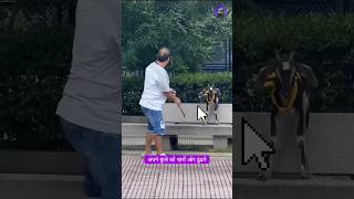 This man lost his dog shortsvideo [upl. by Ebanreb]