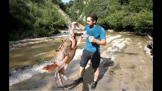 Il misterioso GRANCHIO DI FIUME [upl. by Coh369]