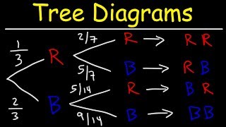 Probability Tree Diagrams [upl. by Ettigirb]