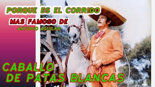 Cómo nació el corrido de caballo de patas blancas Antonio Aguilar [upl. by Missak601]