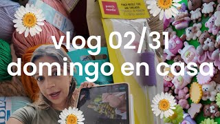 VLOG DÍA 231  haul de lanas creación de contenido lavar ropa 🌞🧸🌙✨ [upl. by Renwick763]