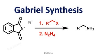 Gabriel Synthesis [upl. by Arteid]