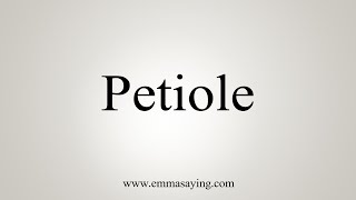 How To Say Petiole [upl. by Hcab]