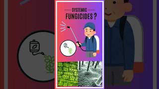 Systemic Fungicide [upl. by Calista]