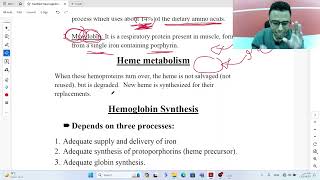 Hemoglobin synthesis and metabolism  Biochemistry of Hematology [upl. by Dranek969]