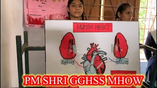 PM SHRI GGHSS MHOW SCIENCE EXHIBITION study viralvideo education science vigyan [upl. by Darrin]