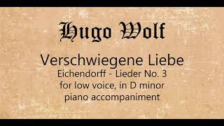 Verschwiegene Liebe for low voice piano accompaniment [upl. by Hacker941]