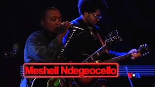 Hamilton Live Meshell Ndegeocello [upl. by Ahsratan]