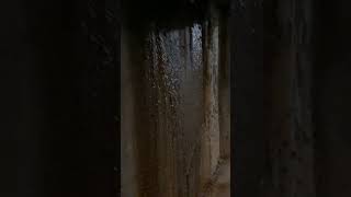 MS SubBasement Water Issues Part 1 Walls [upl. by Nilloc]