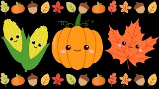 FALL PUMPKINS AND LEAVES FUN  BABY SENSORY  HIGH CONTRAST [upl. by Blondie]